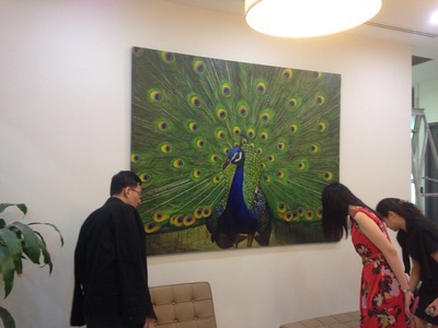 Affordable Custom Made  Modern Realistic Gold Peacock Oil Painting On Canvas In Malaysia Office/ Home @ ArtisanMalaysia.com