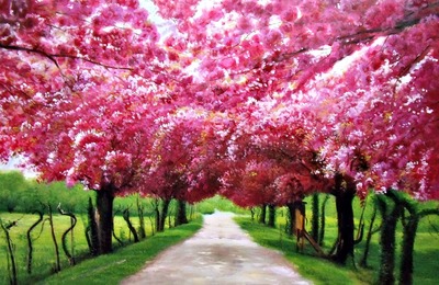 Affordable Custom Made Hand-painted Scenery Pink Blossom Oil Painting In Malaysia Office/ Home