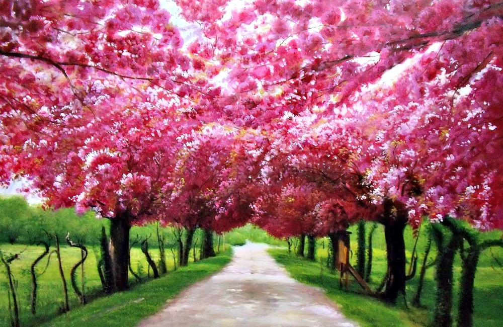 Affordable Custom Made Cherry Blossom Scenery Oil Painting Made On Canvas In Malaysia @ ArtisanMalaysia.com